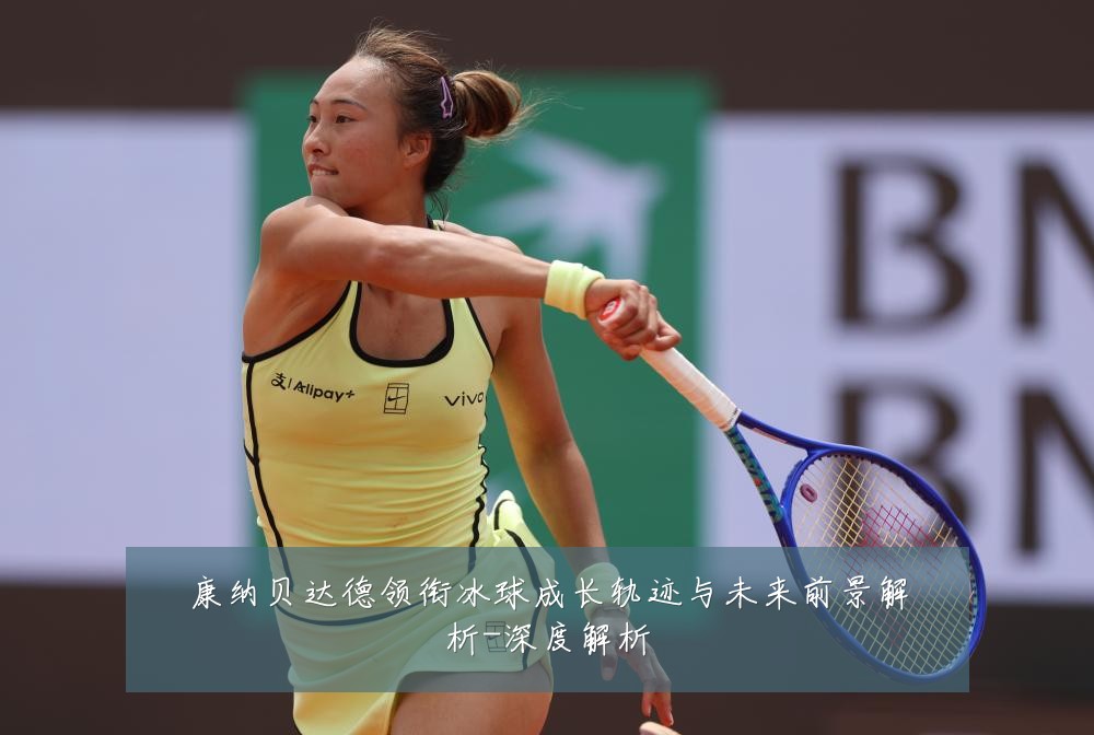 康纳贝达德领衔冰球成长轨迹与未来前景解析-深度解析