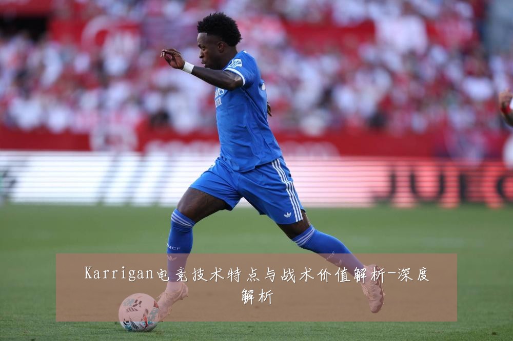 Karrigan电竞技术特点与战术价值解析-深度解析
